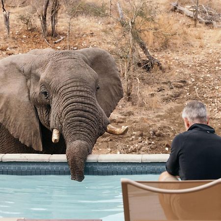 Villa Isambane Camp Balule Game Reserve Esterno foto