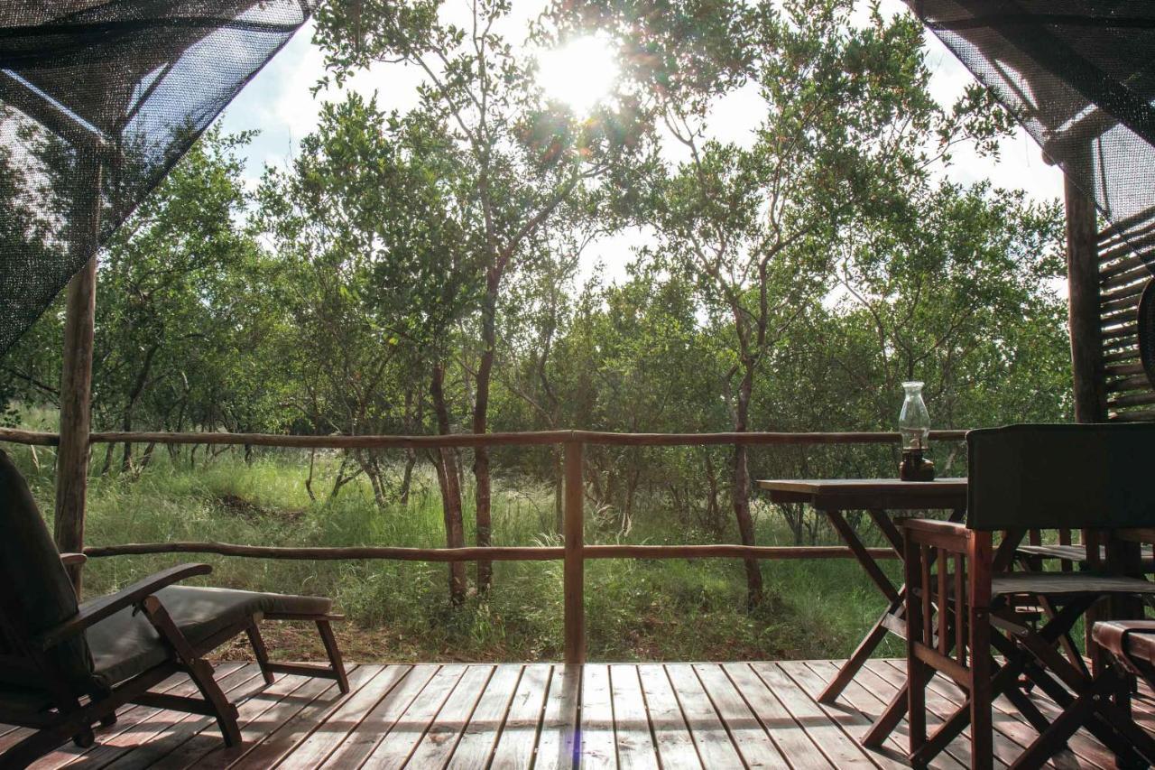 Villa Isambane Camp Balule Game Reserve Esterno foto