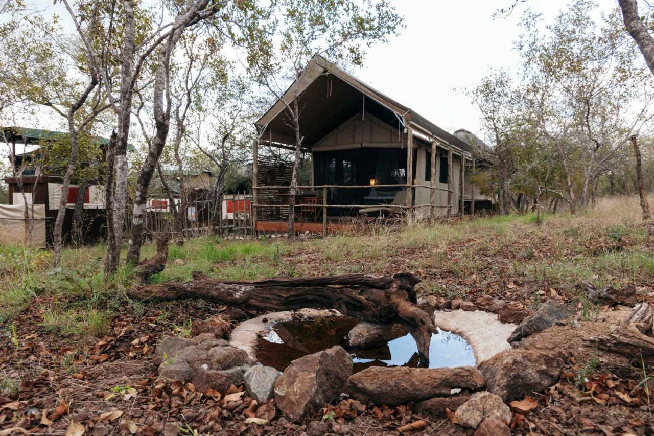Villa Isambane Camp Balule Game Reserve Esterno foto