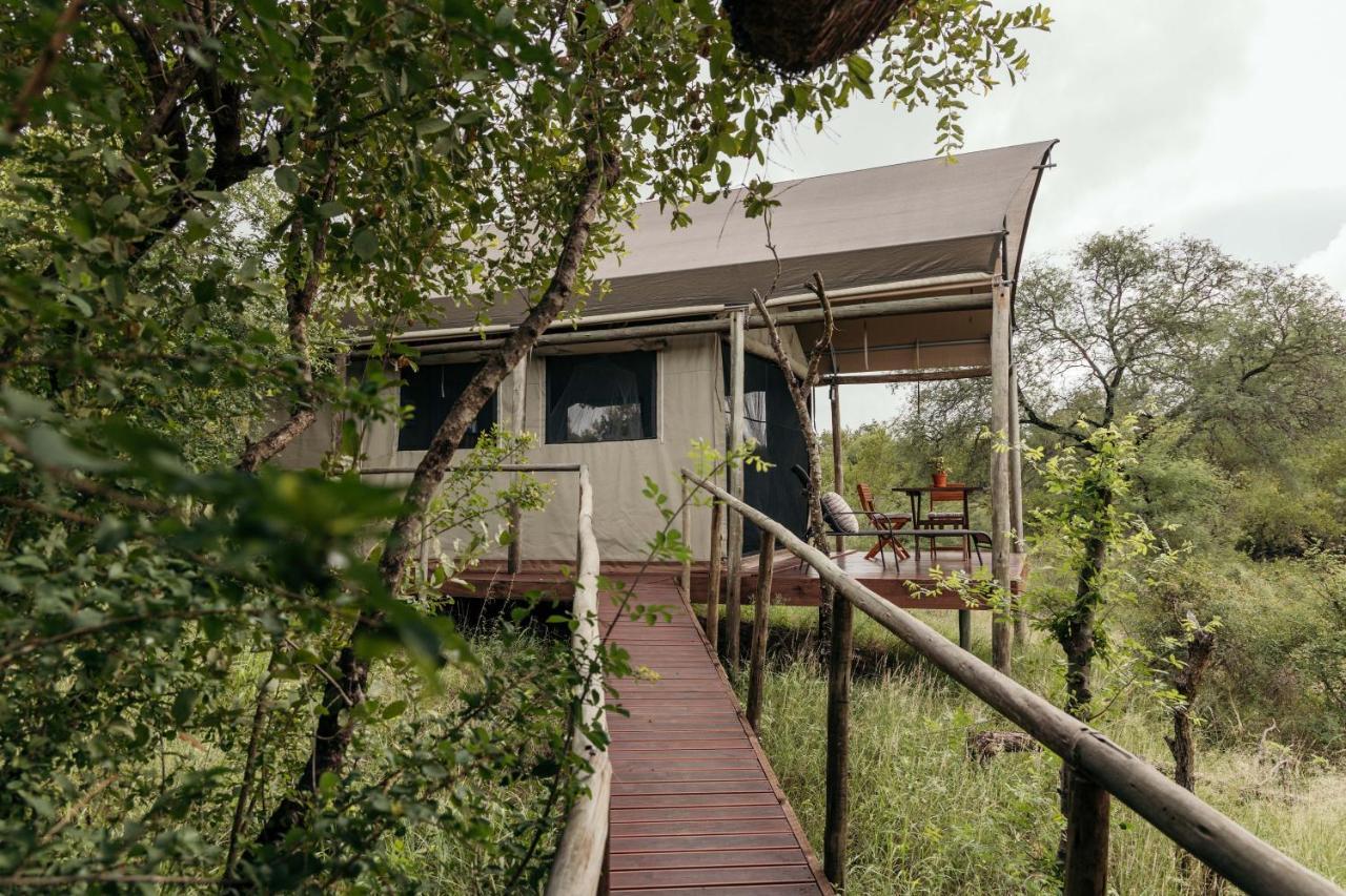 Villa Isambane Camp Balule Game Reserve Esterno foto