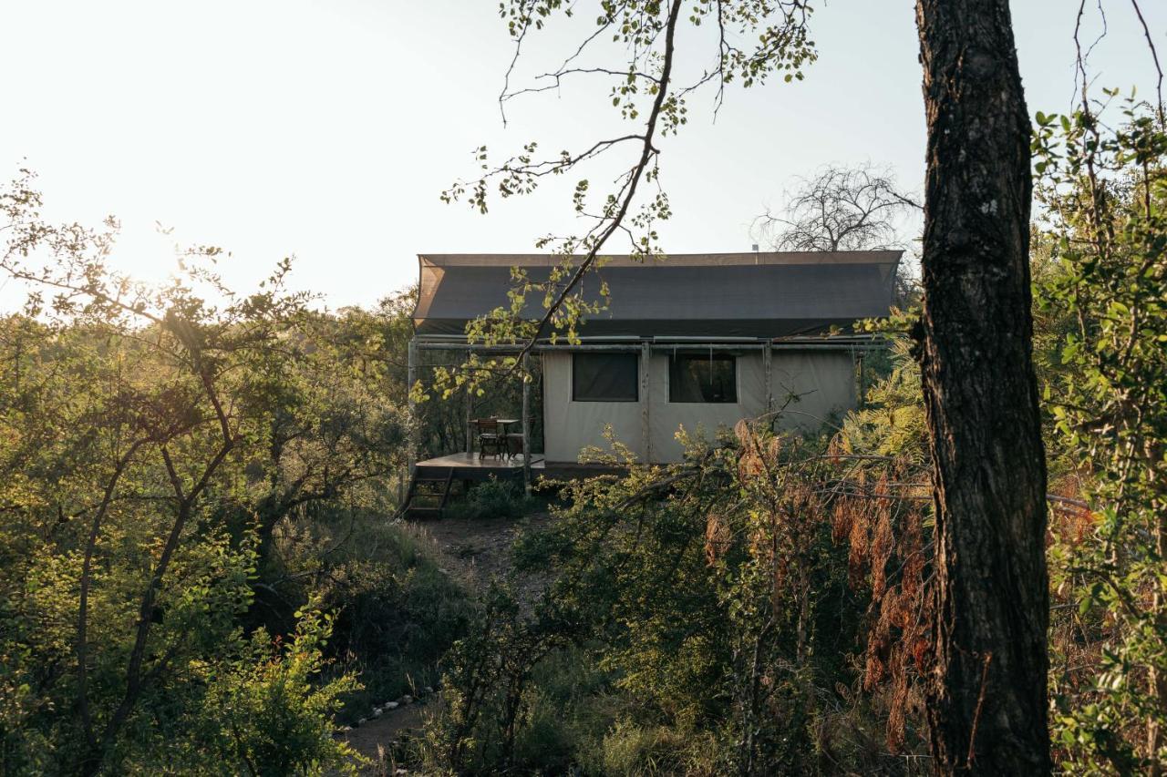 Villa Isambane Camp Balule Game Reserve Esterno foto