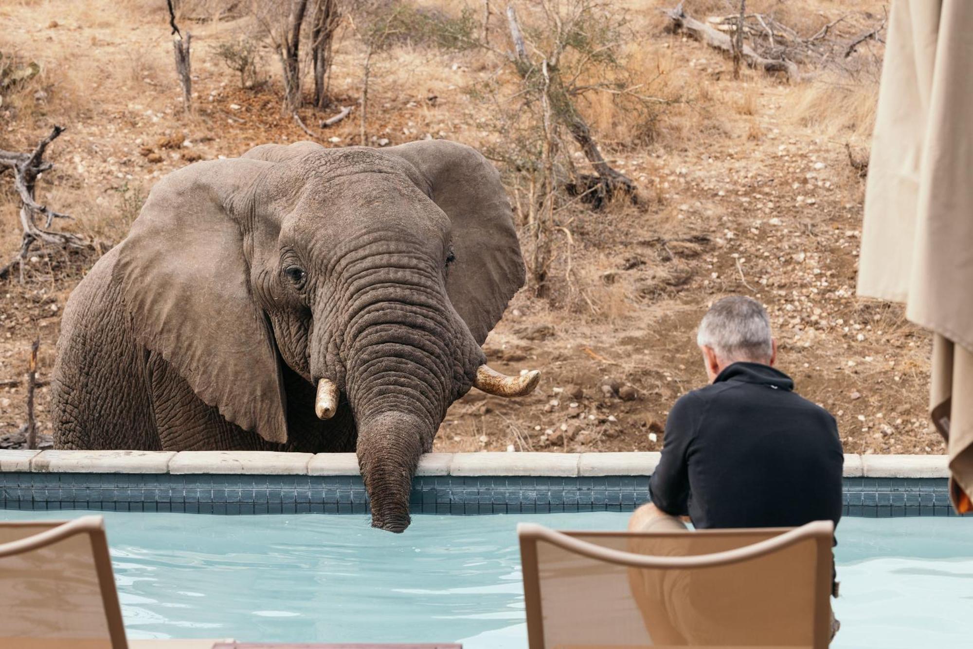 Villa Isambane Camp Balule Game Reserve Esterno foto