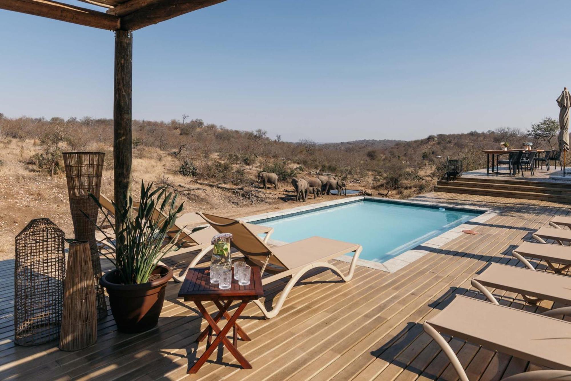 Villa Isambane Camp Balule Game Reserve Esterno foto